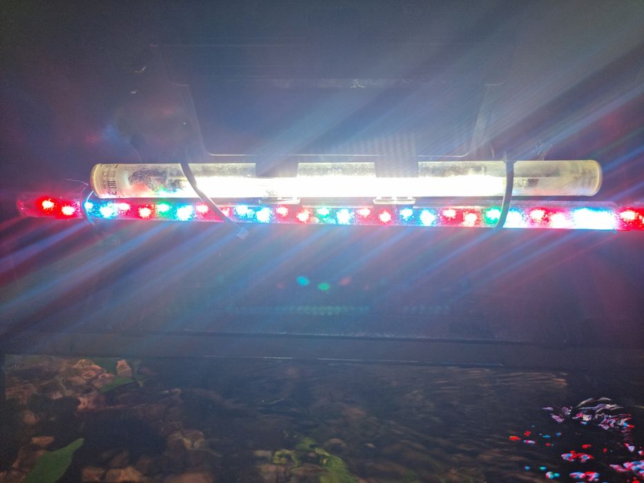 Akwarium 54l 60x30x30 Aquael zestaw + gratisy