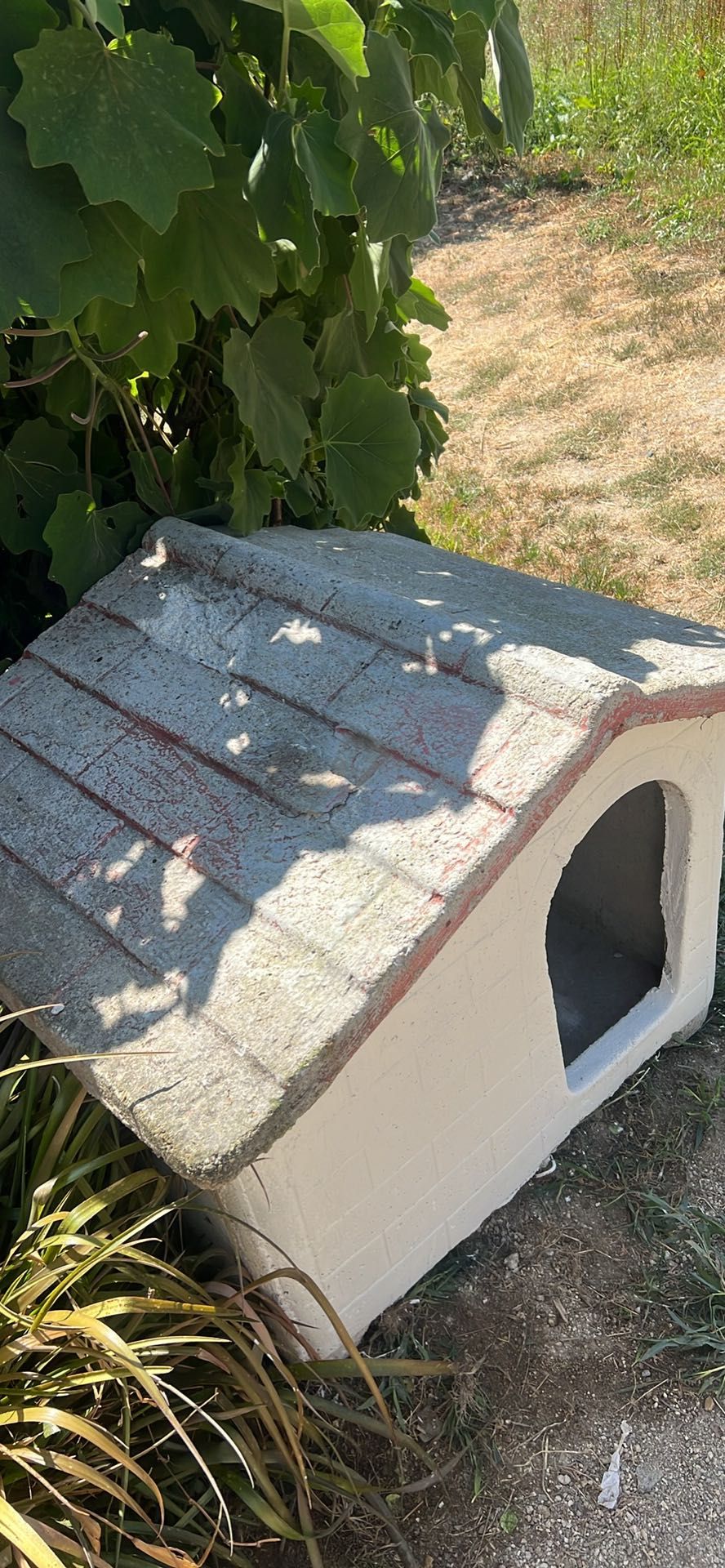 Casota de cão médio