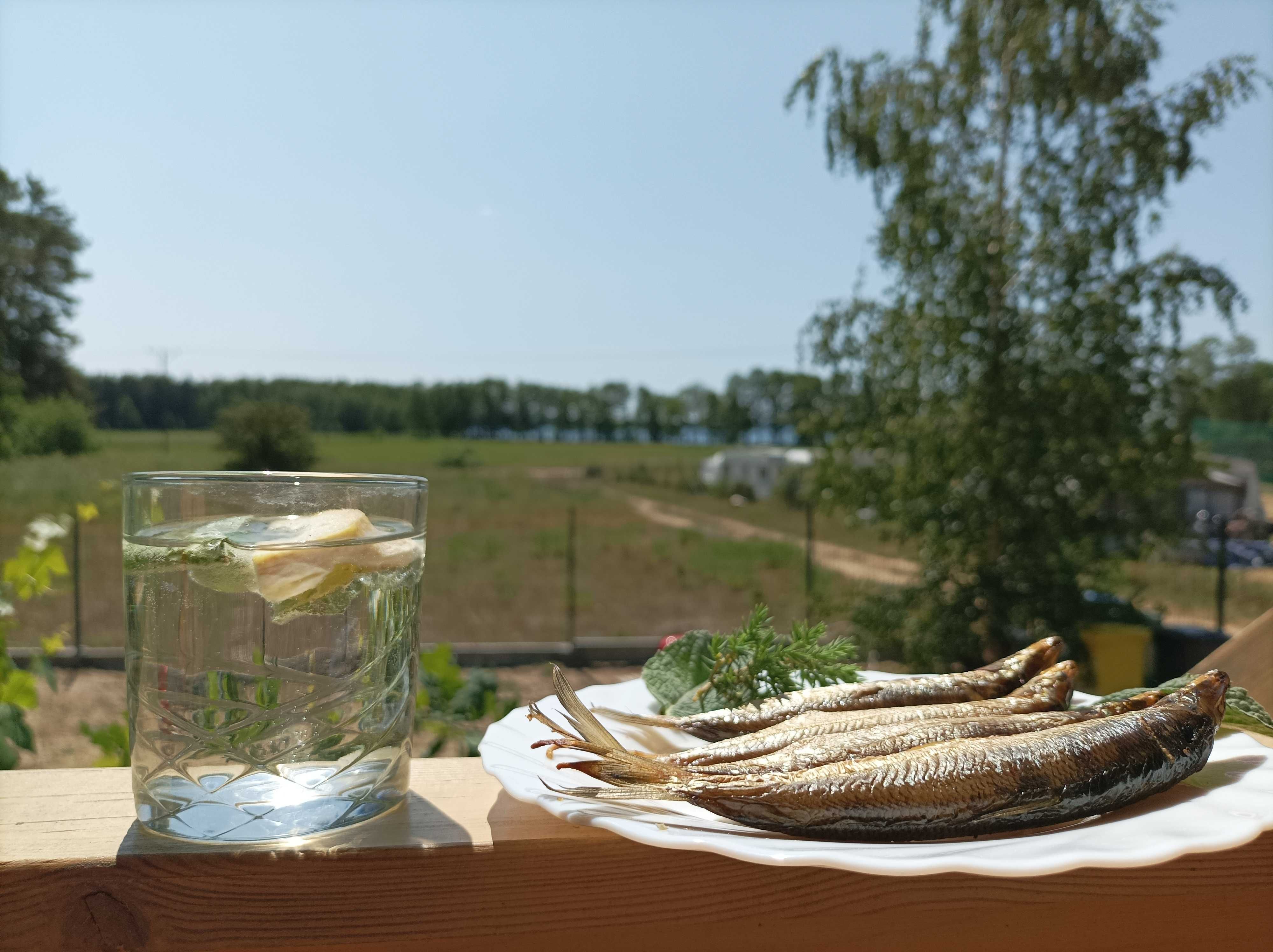 Domek letniskowy nad jeziorem Dargin – Mazury 6 os./ blisko jeziora