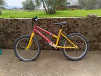 Bicicleta roda 19