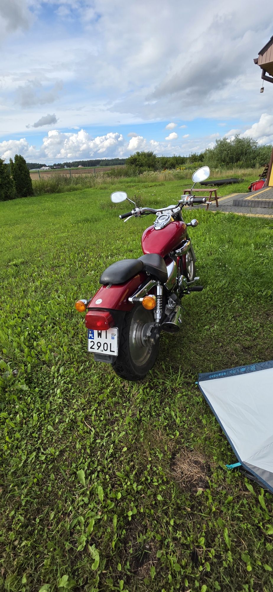 Daelim VT 125 – idealny dla początkujących