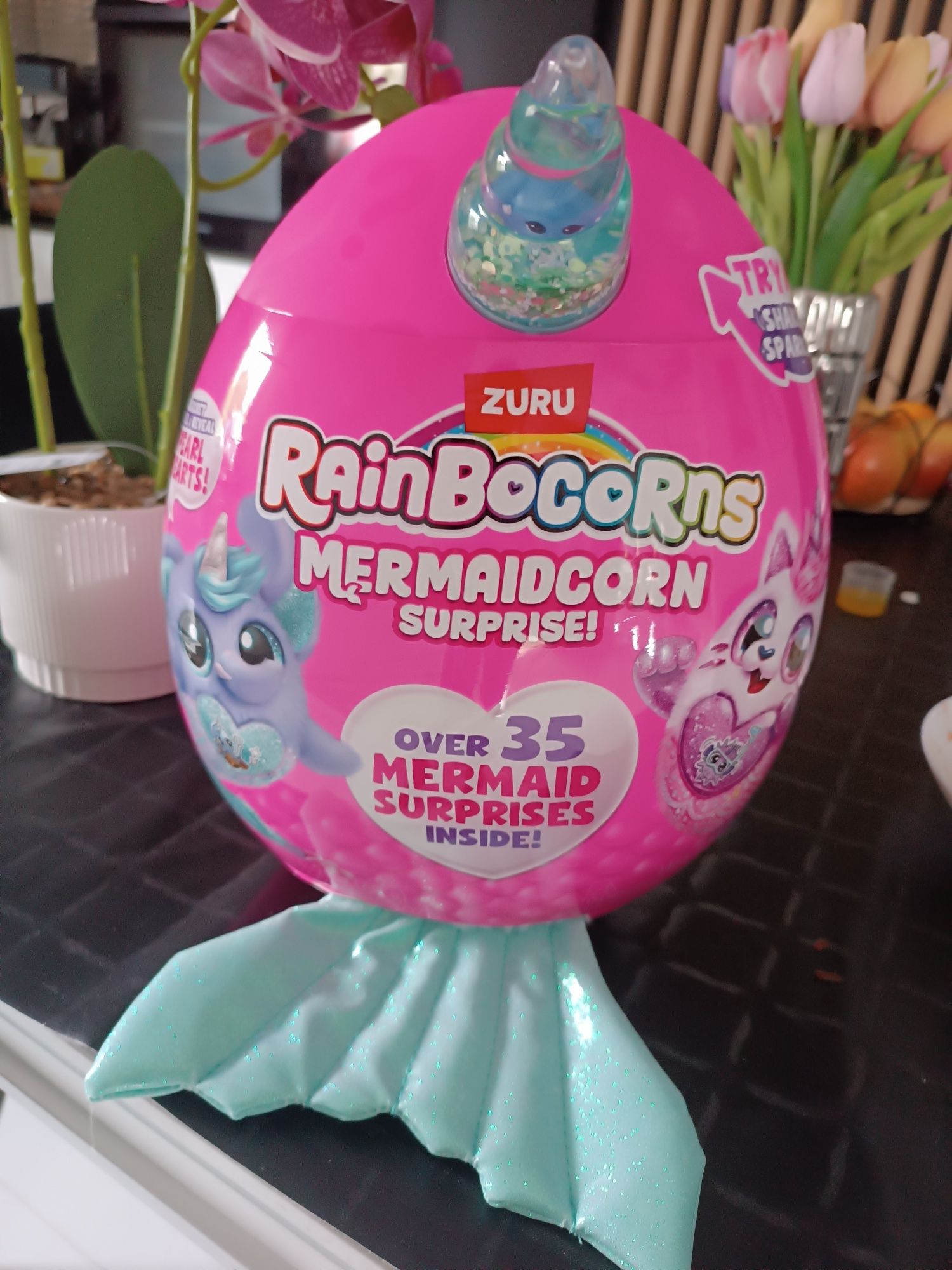 Rainbocorns rainbocorns