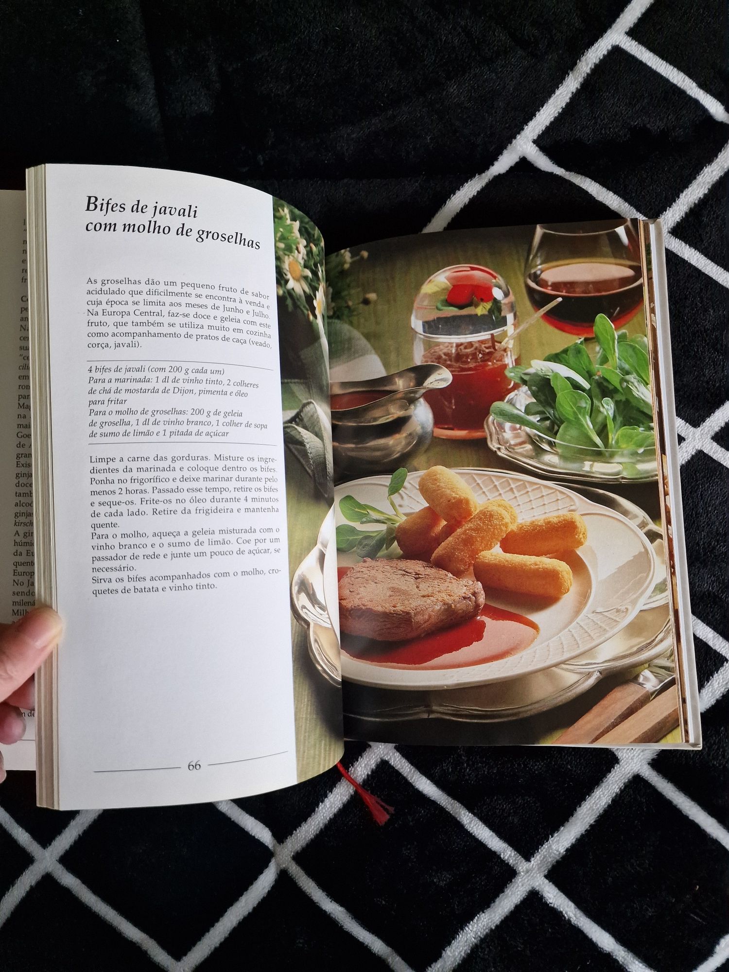 Livro Um Mundo de Sabores Frutos