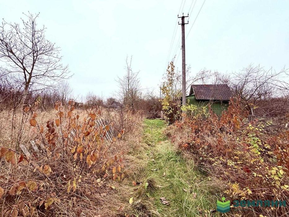 Продається дачна ділянка у с. Хриплин (7)