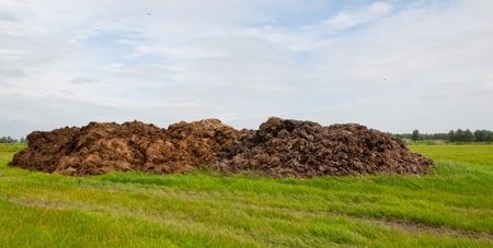 Sprzedam zamienie obornik