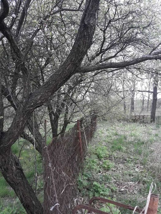 Продаж земельної ділянки 2.4 сотки в кооперативі Дружба (с. Ровжі).