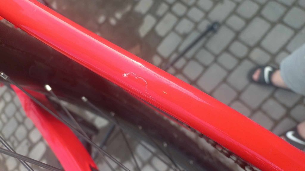 Trek remedy 8 2021