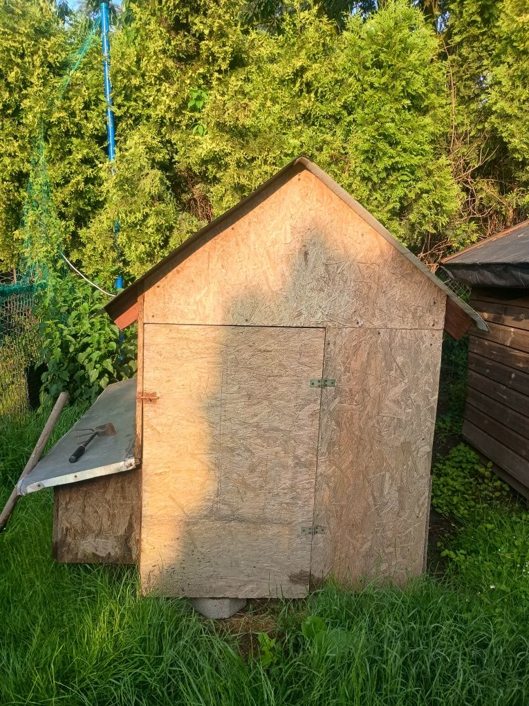 Kurnik w dobrym stanie