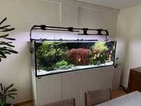 Aquario waterbox reef 220.6 com chihiros wrgb2 pro