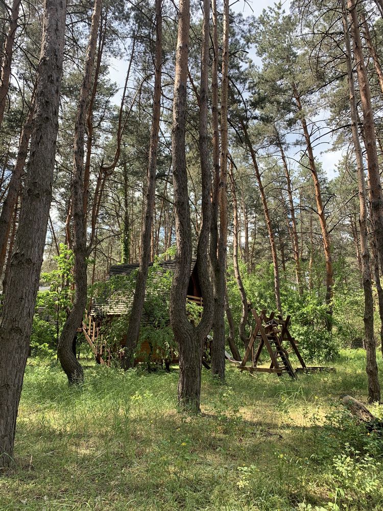 Ветер в соснах, как шум моря! Без комиссии. Продам дом.