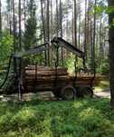 Transport drewna/opału z lasu - usługa
