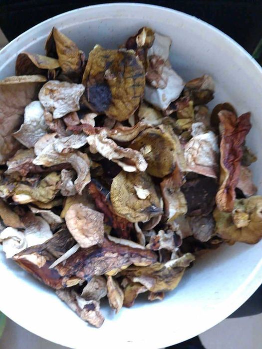 Grzyby suszone, grzyby marynowane, prawdziwek (borowik), podgrzybek