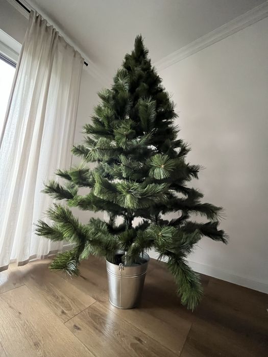 Chonika duża + wiadro stelaż