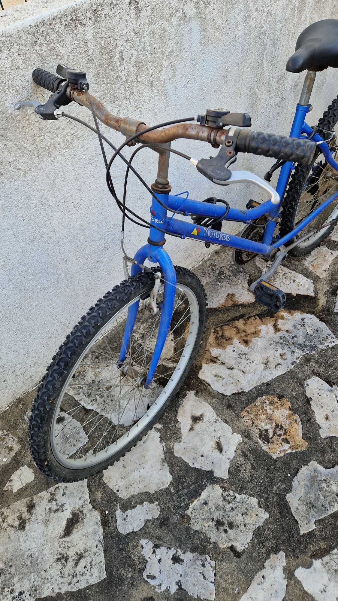 Bicicleta feminina BTT