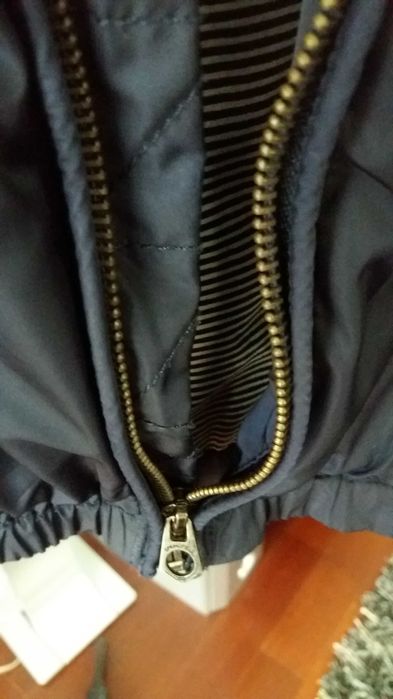 Blusão Springfield Novo