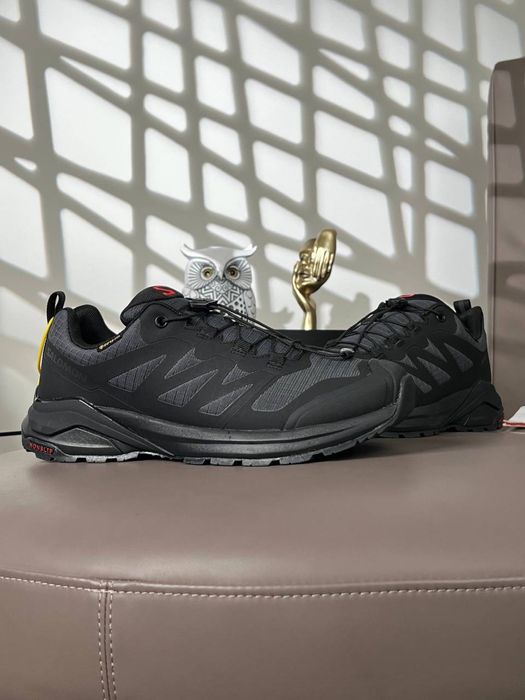 Чоловічі кросівки саломон Salomon X ADVENTURE GTX [41,42,43,44,45,46]