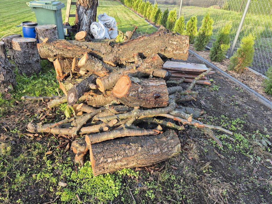 Drewno owocowe do wedzenia