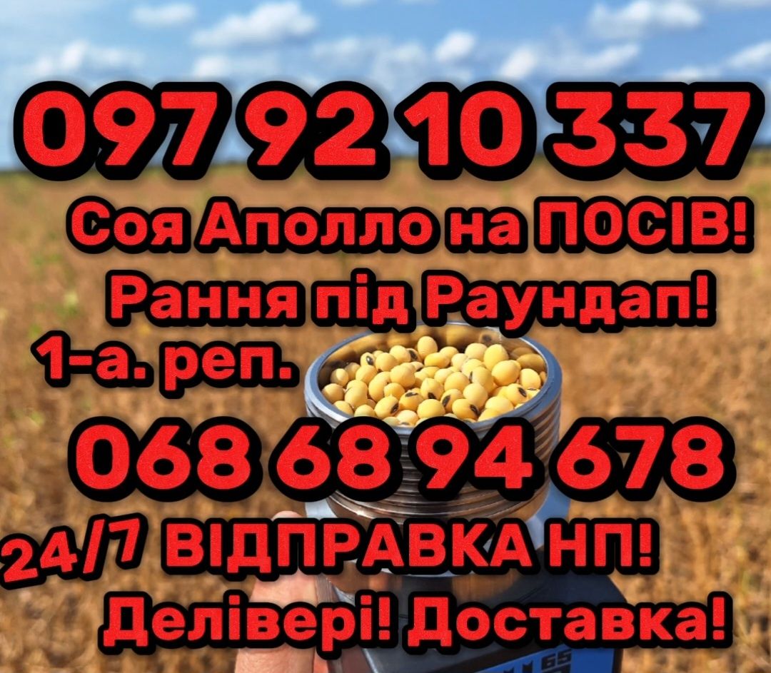 Соя Аполло на ПОСІВ! 1-а репродук. Відправка НП! Делівері! Доставка!