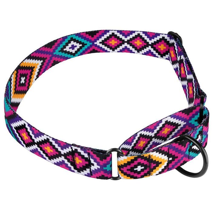 Нашийник для собак Мартингейл