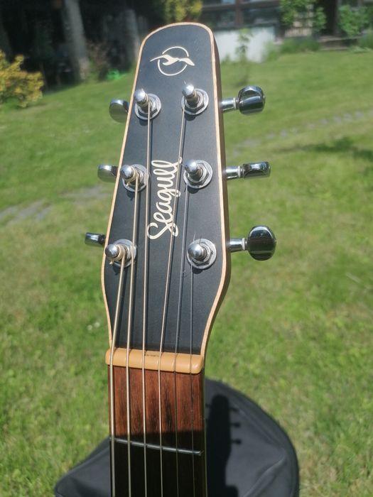 Seagull Entourage Rustic Qit