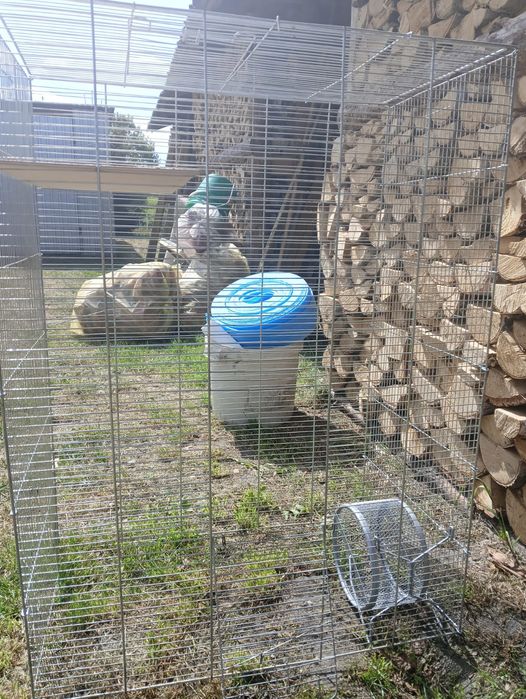 Klatka dla szynszyli