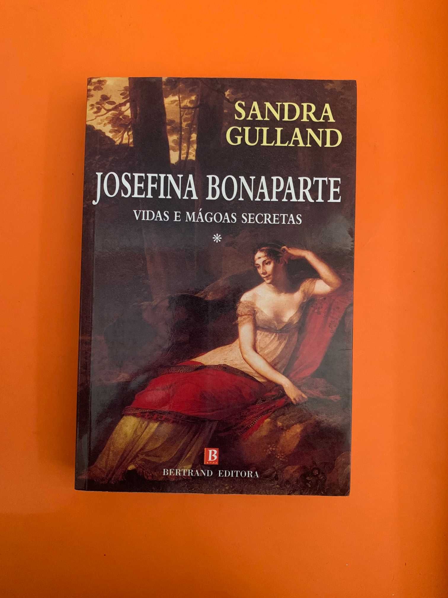 Josefina Bonaparte: Vida e mágoas secretas - Vol. 1 - Sandra Gulland