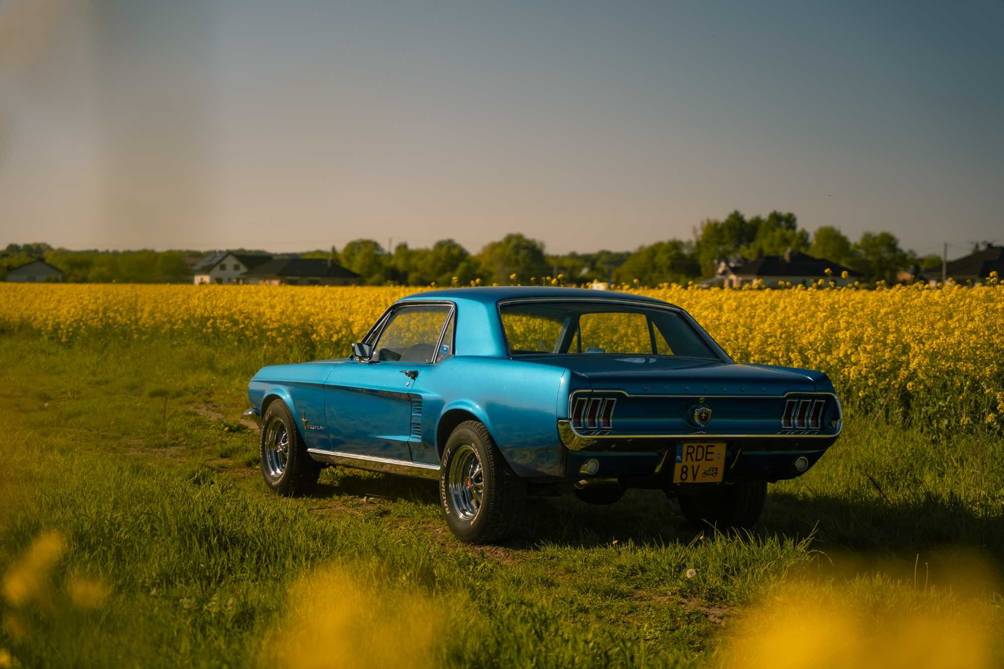 Wynajem Ford Mustang 1967 4.7 V8 na ślub, sesje, specjalne okazje
