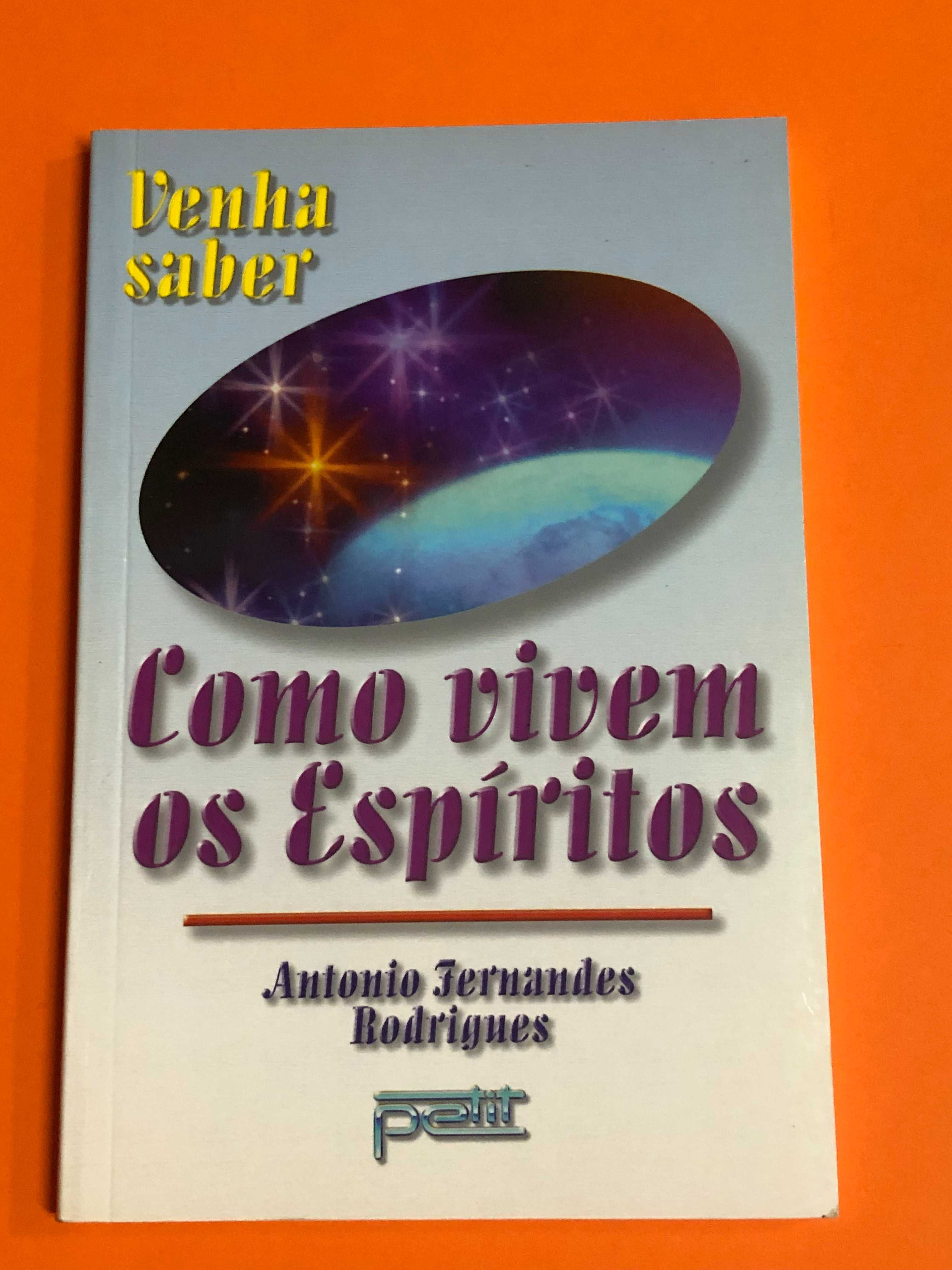 Como vivem os espíritos - Antonio Fernandes Rodrigues