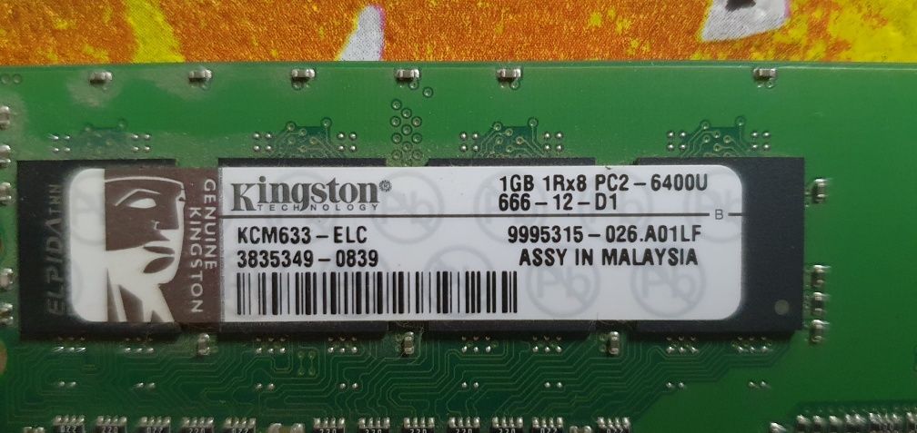 Karty ram 1GB PC2 6400U Kingston Technology