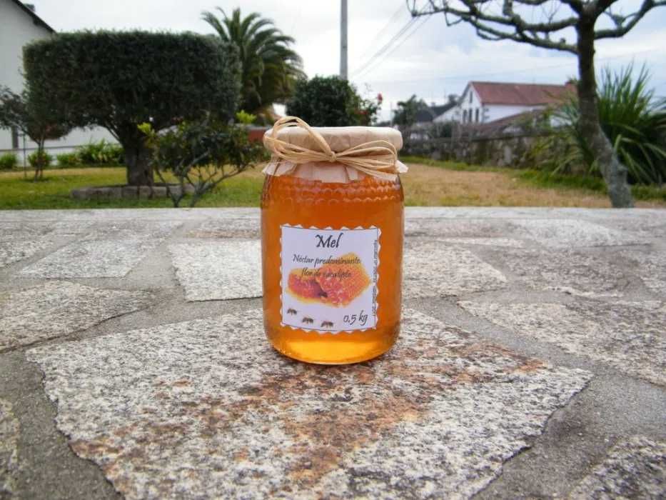Mel natural (Nectares / Flores: eucalipto, urzes Gerês, Multifloral,..