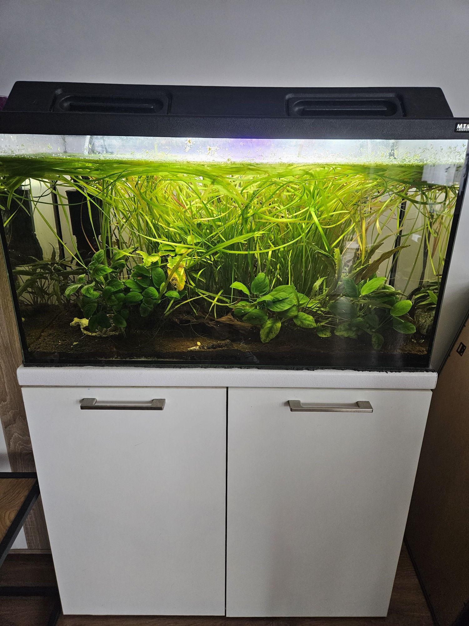 Akwarium 120L z pokrywą + szafka + filtr + życie