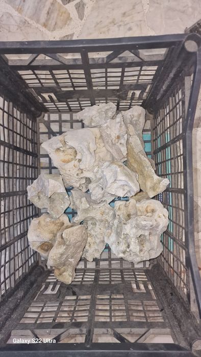 Kamienie do akwarium. Wapień filipiński I Grey Stone.