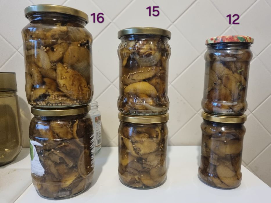 Grzyby marynowane słoik 0.2 0.5