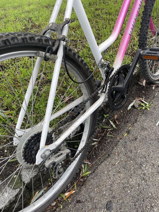 Bicicleta para adulto