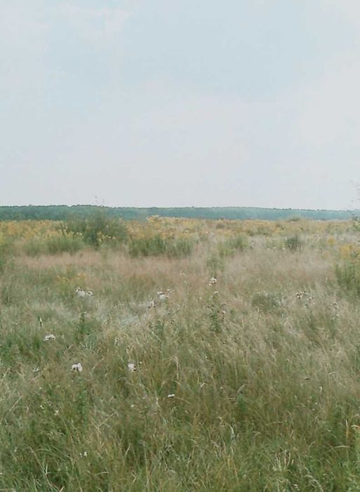 (5)  Продам земельну ділянку 6470