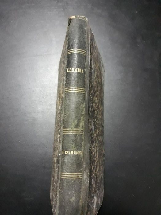 A Criminosa - Júlio Lermina