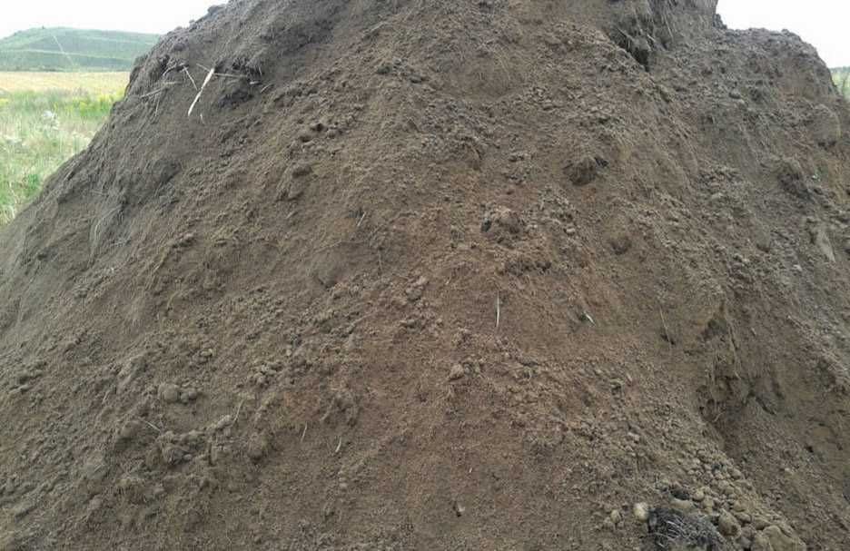 Ładna ziemia pod trawnik do ogrodu