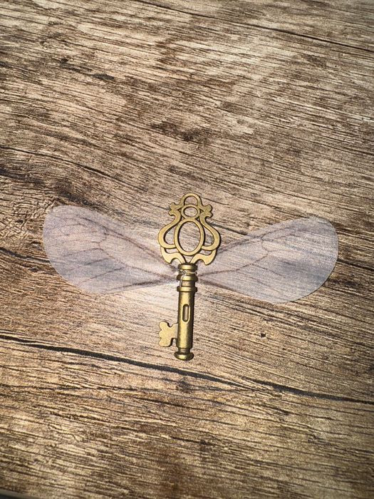 Набор волшебные ключи с крыльями harry potter философский камень