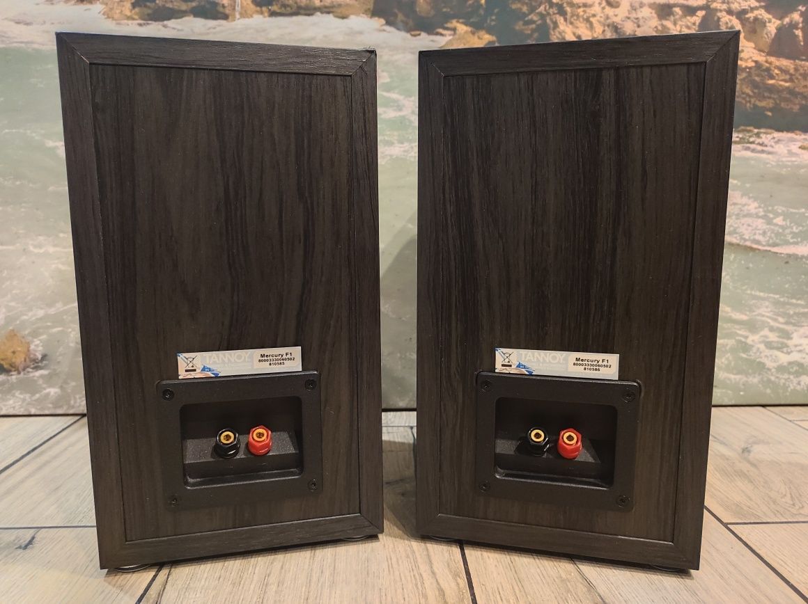 Tannoy Fusion F1 | kolumny głośnikowe