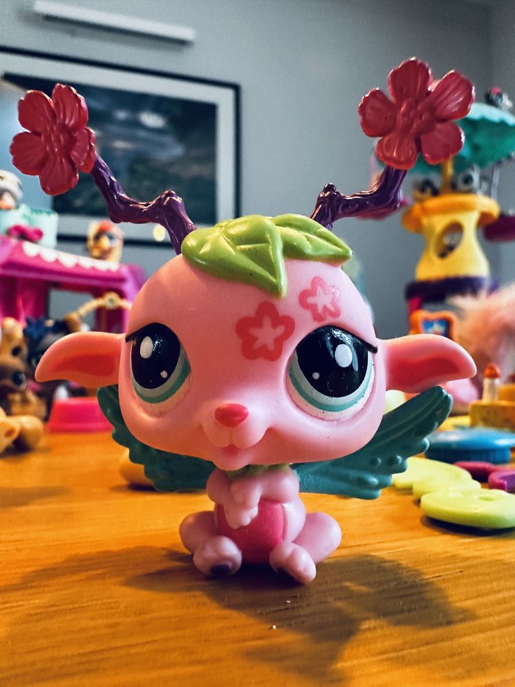 Kolekcja littlest Pet Shop