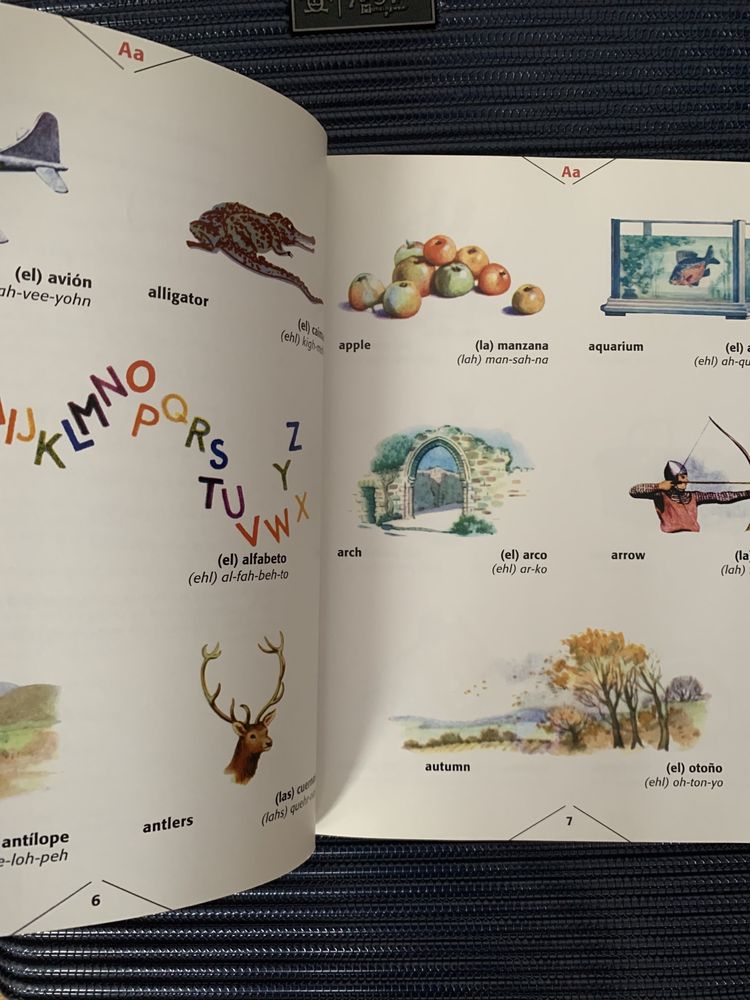Children’s Illustrated Spanish Dictionary