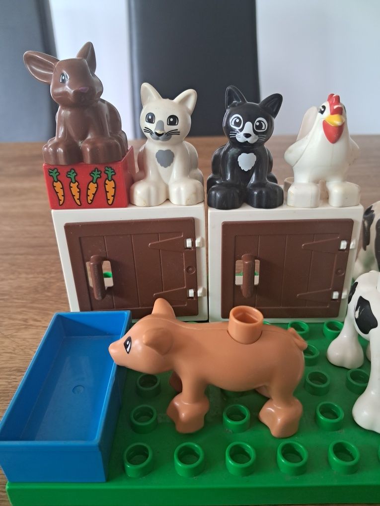 Zwierzęta gospodarskie domowe DUPLO