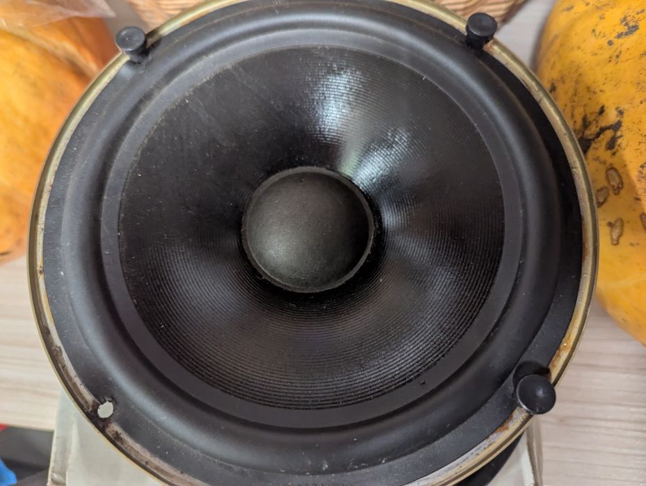 Głośnik niskotonowy GDN 20/40