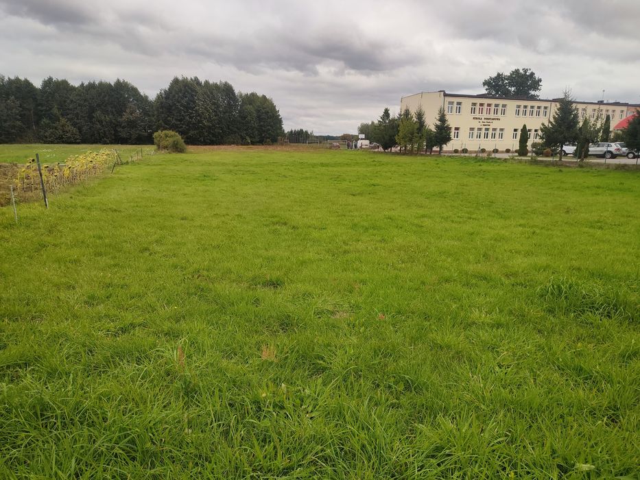 Działka Budowlana  z Potencjałem na Firmę Prostyń  Obok Szkoły 0,92 ha