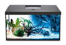 Akwarium Aquael 54l Day&Nigth- zestaw. Dostawa gratis w woj. pomorskim
