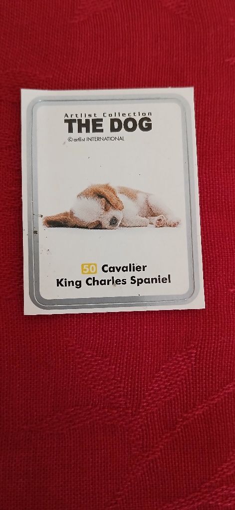 Autocolante The Dog n° 50