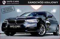 BMW Seria 5 SALON POLSKA / FV 23% / Gwarancja ASO / Bezwypadkowy / Doposażony