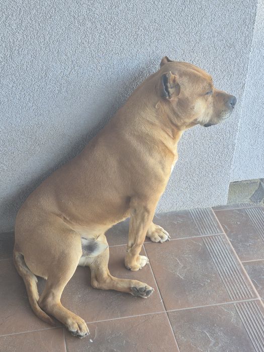 Серйозний хлопець  шукає дівчинку для  в'язки