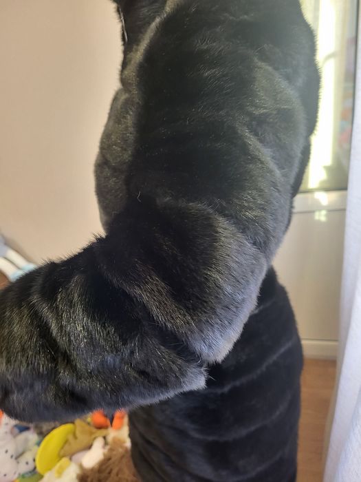 Шуба норкова чорна