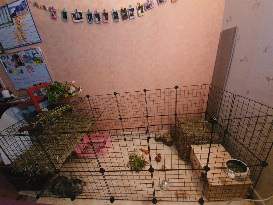 Wybieg NOWA Klatka Kojec dla KRÓLIKA Świnki Chomika PSA Modułowa DUŻA